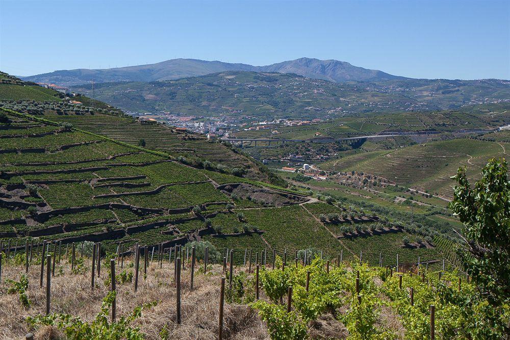 Quinta De Casaldronho Wine Hotel 라메구 외부 사진